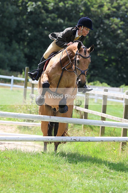 3E7A8896 - Class 6: Open Working Horse