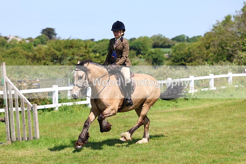 3E7A6786 - Working Hunter Pony Championship