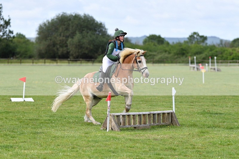 WJ5_2339 - Class 2 40cm