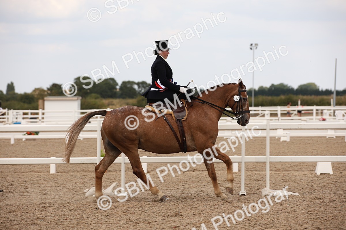 SBM_05529 - Class 22 SSA Equitation