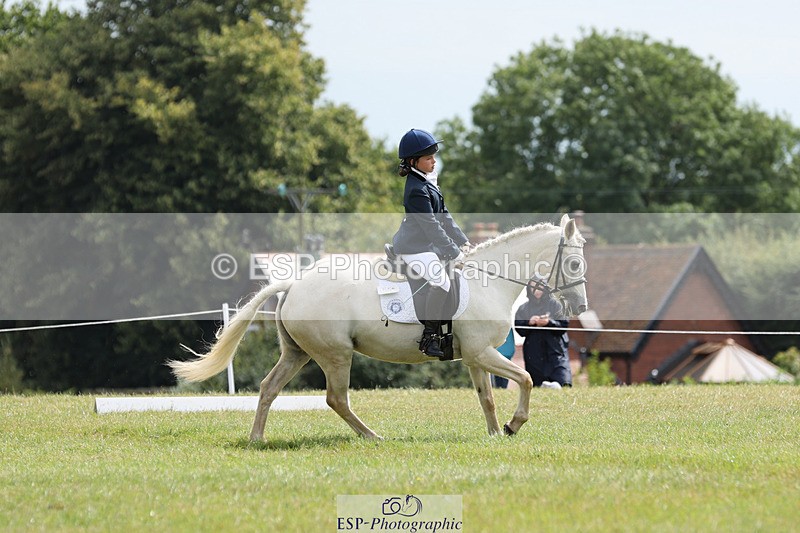 240824X-124732-27161 - D80 Section G and H 12.00 to 13.30