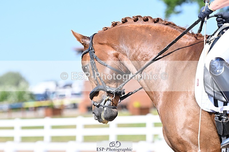 250620-163248-05355 - BD Cls 13 - Adv Medium 5