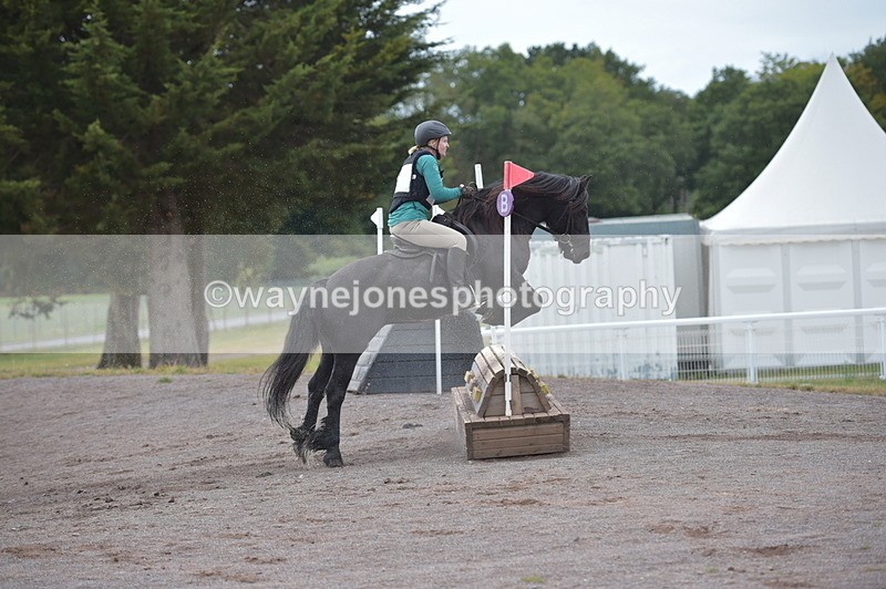 NGP_2827 - XC Time 11:37 to 11:57