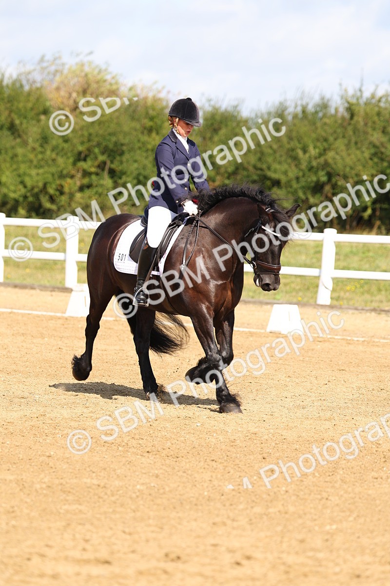 SBM_011612 - Class 1 - Prelim 19 - 10.50-11.46