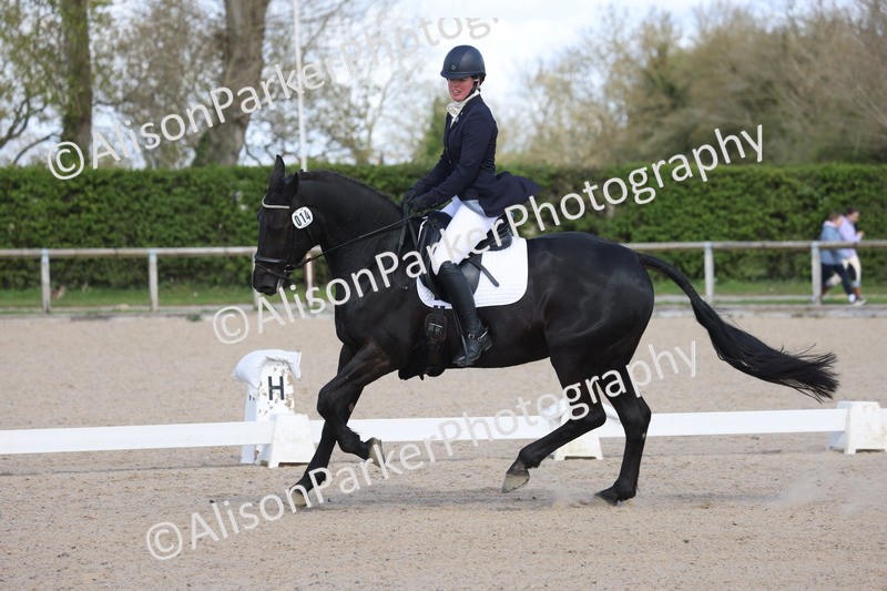 20260405-0462 - Class 5 - Elementary 5