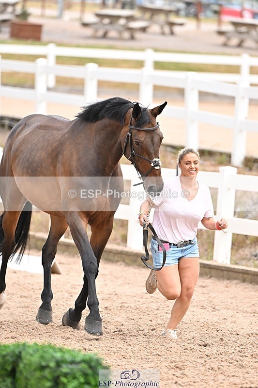 250716-143938-01274 - Trot Up 2.30 to 3.30