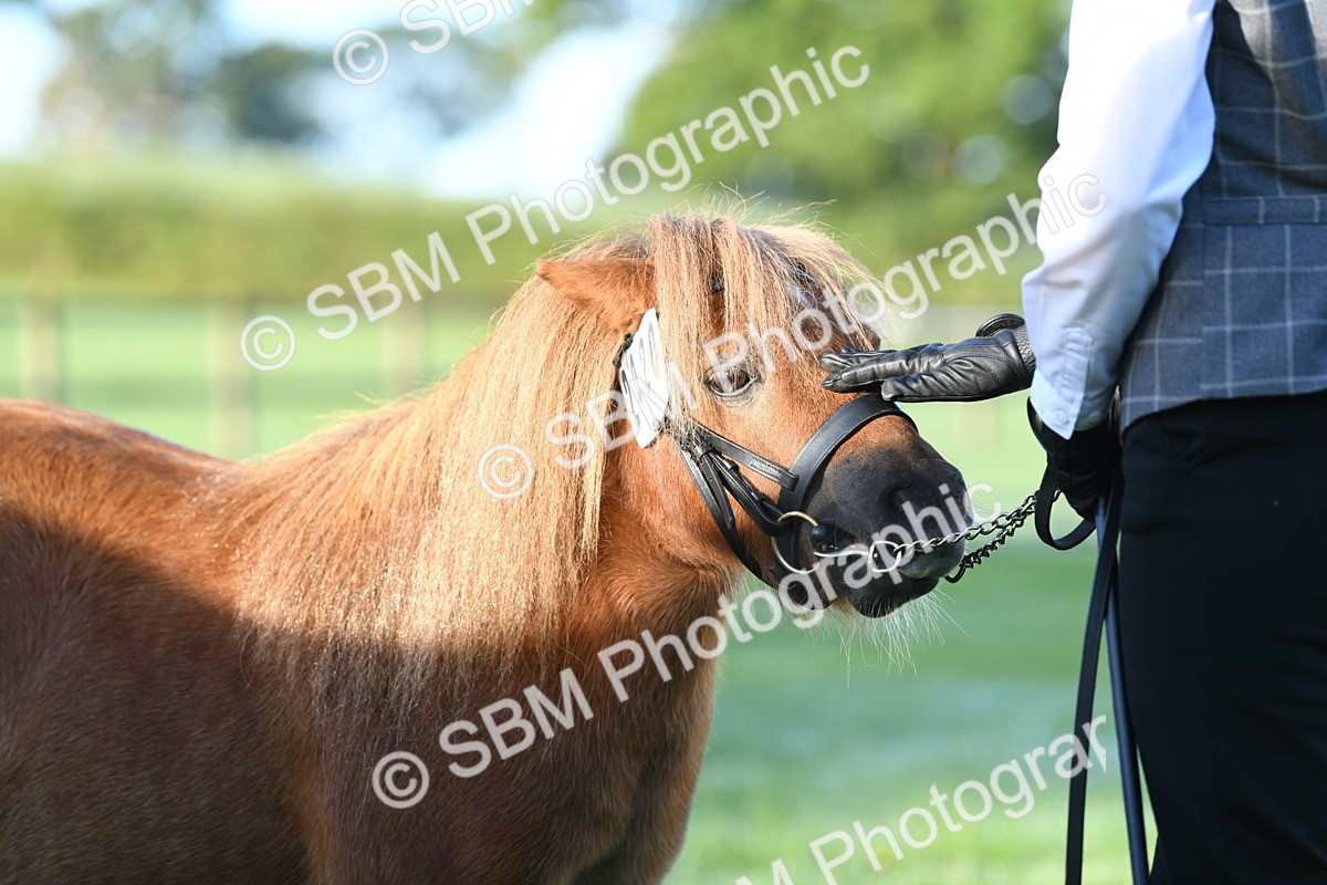 SBM_32785 - S15 - Condition & Turnout In Hand
