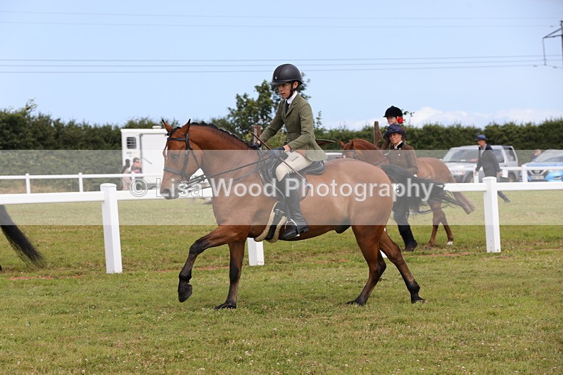 1X9A4064 - Class 32: Show Hunter Pony 153cm and under