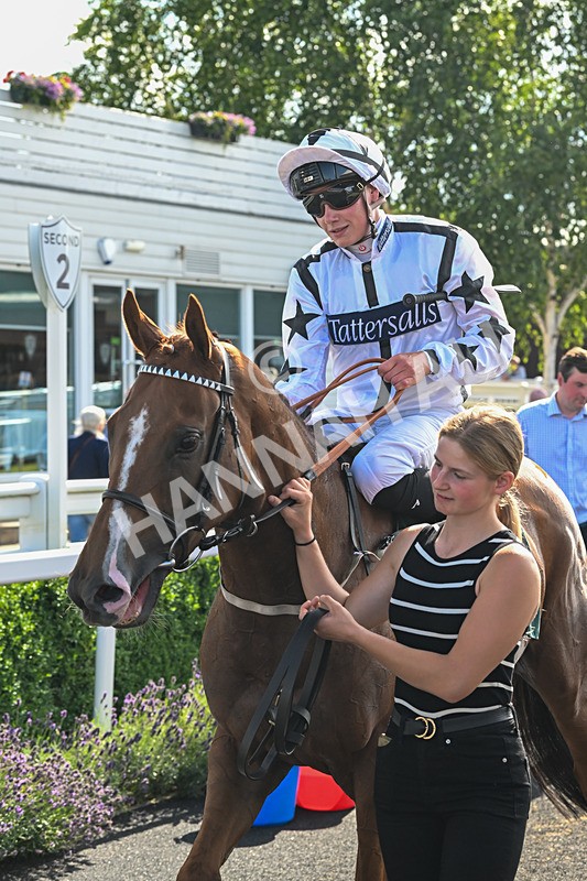 160725-Race 6-Bellarchi-9532 - Race 6