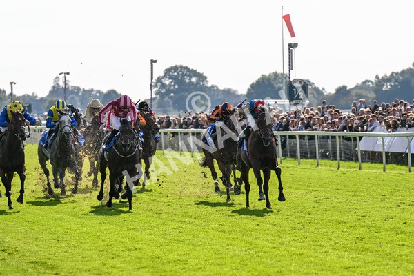 111025-Race 1-Division-0168 - Race 1 Coral Rockingham Stakes at York