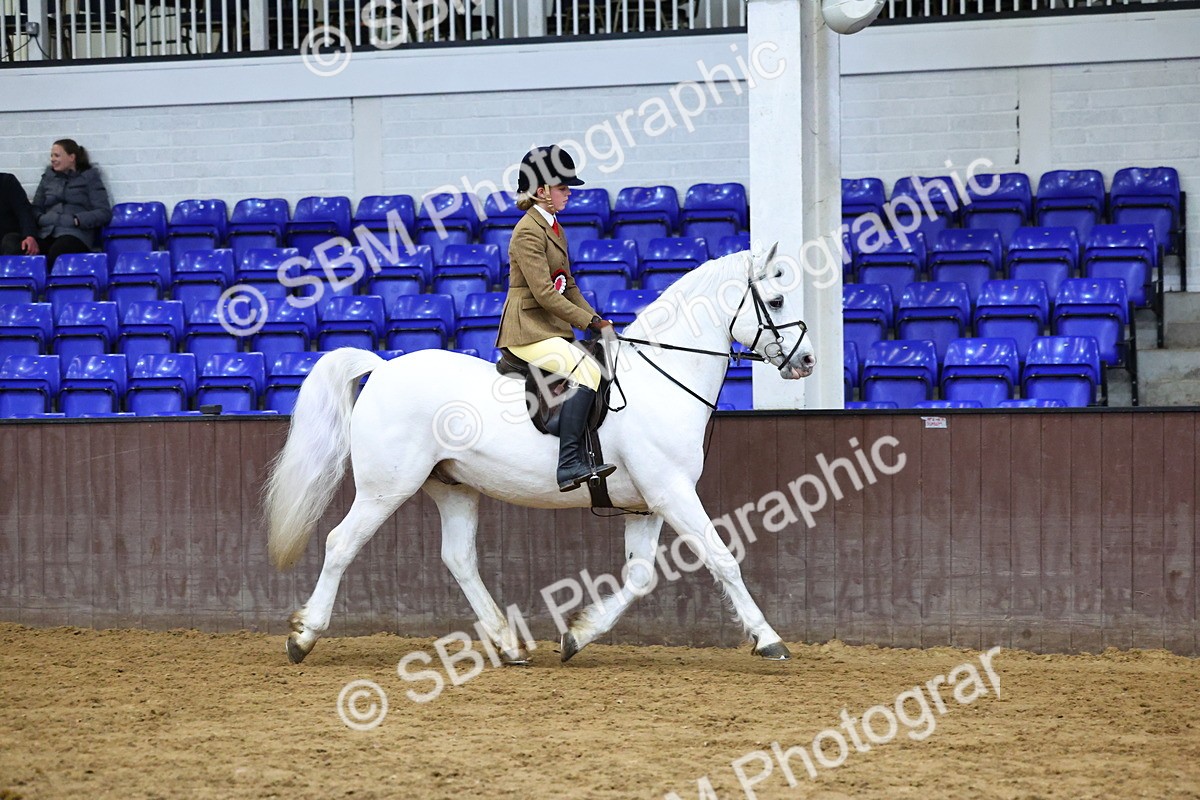 SBM_005582 - M&M Novice WHP Championship