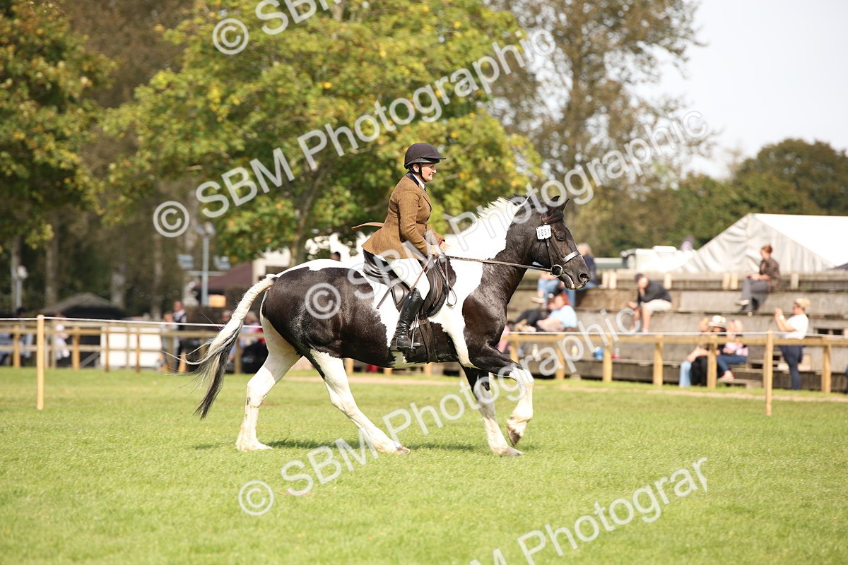 SBM_70117 - S65 - Piebald & Skewbald Horse Ridden