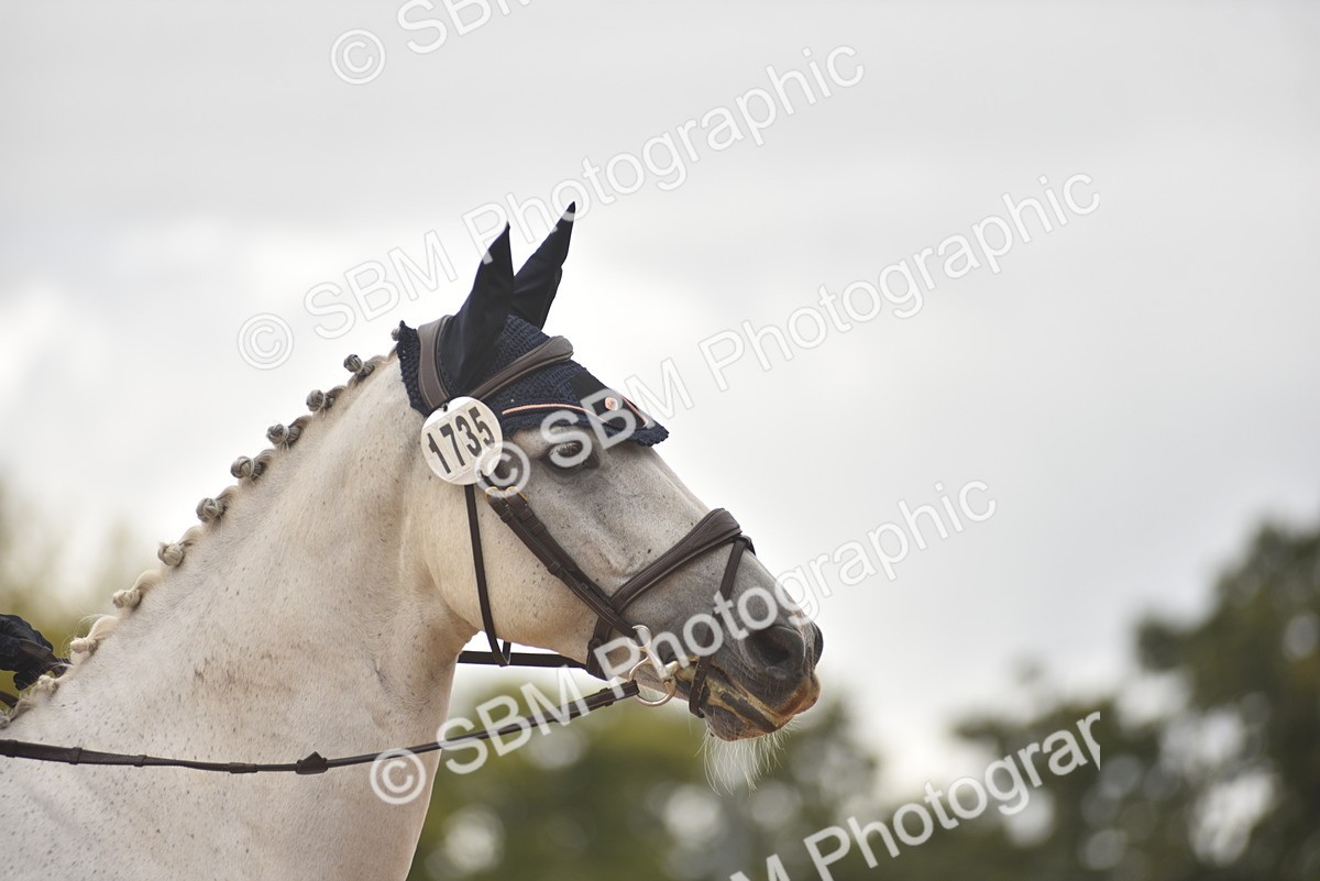 SBM_42558 - D22 - Junior Championship Intro 3