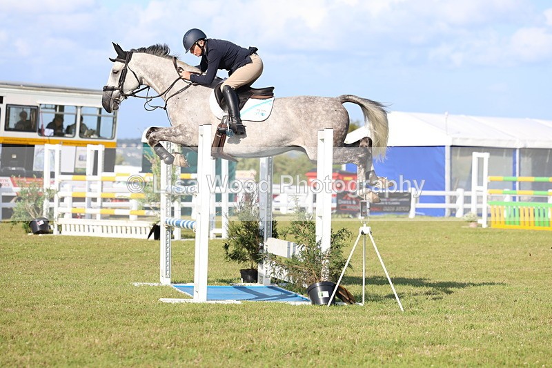 3E7A4398 - Class C: Showjumping Senior Foxhunter