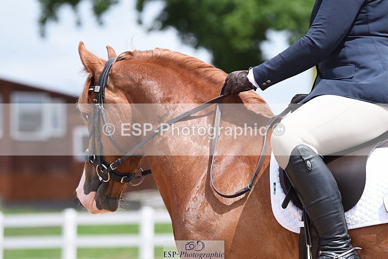 230702A-130904-10308 - Cls 1, 3+4 Intro A, Prelim 12+18