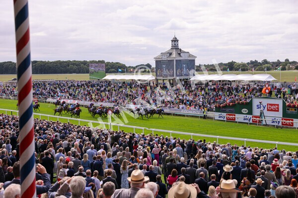 yr17082022r1-039 - Race 1 1.50pm Sky Bet & Symphony Group Stakes