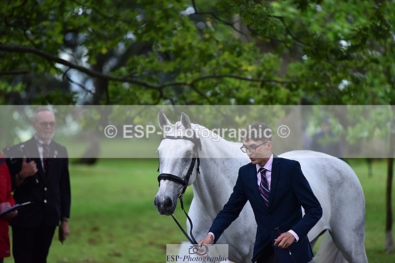 240522-160850-00739 - 156-JAG_WOMANIZER_LADY-Beatrice_Montgomerie