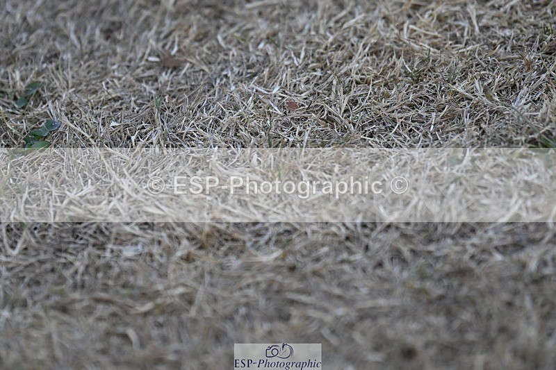 250823A-190538-34712 - All Sat Presentations