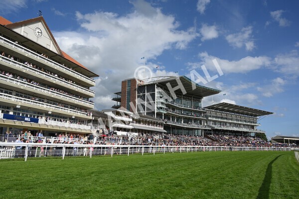 yr21052022r7-14 - Race 7: 5:15pm Reg Bond Always and Forever Stakes