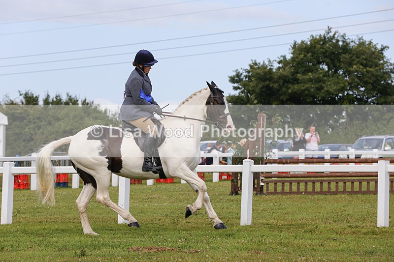 1X9A3094 - Class 26: Ridden Plaited Coloured Pony