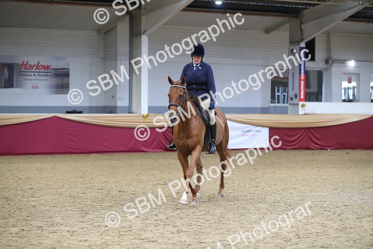 SBM_12358 - Class 108 Ridden Retired Racehorse- Pre Judging