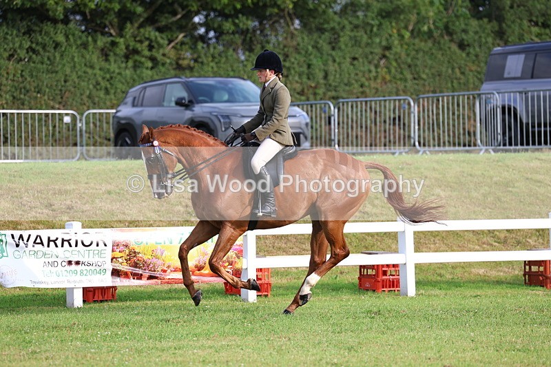 3E7A7820 - Class 1: Rising Star Small Hack/Riding Horses