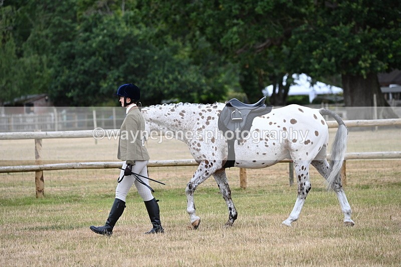 WJ6_3772 - Class 9 Tack & Turnout