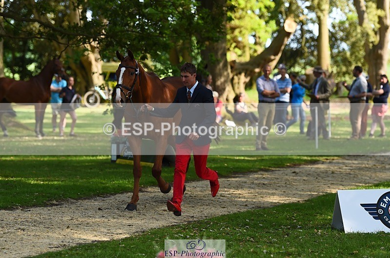 230524-170834-01303 - 156-JUST_PERFECT-Gaspard_Maksud-WEDTrotUp+DR