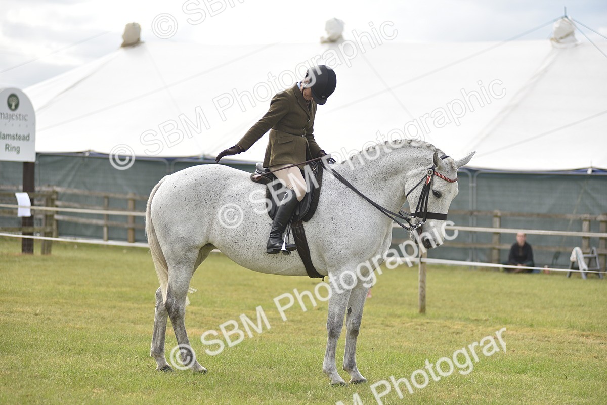 SBM_18135 - Class 122-123 - LIHS BHSA Raising Star Style and Performance Series