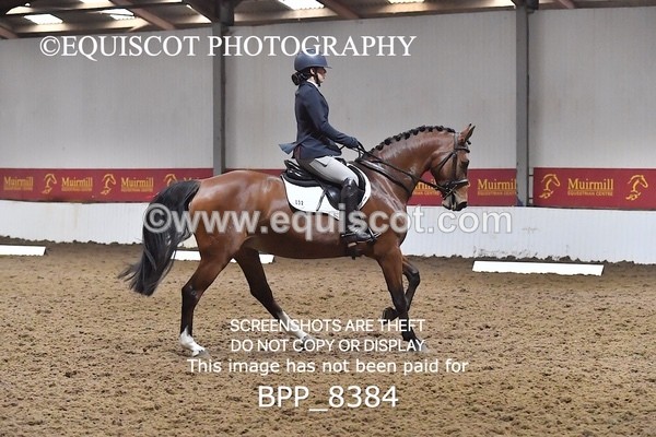 BPP_8384 - PRELIM 4 BD