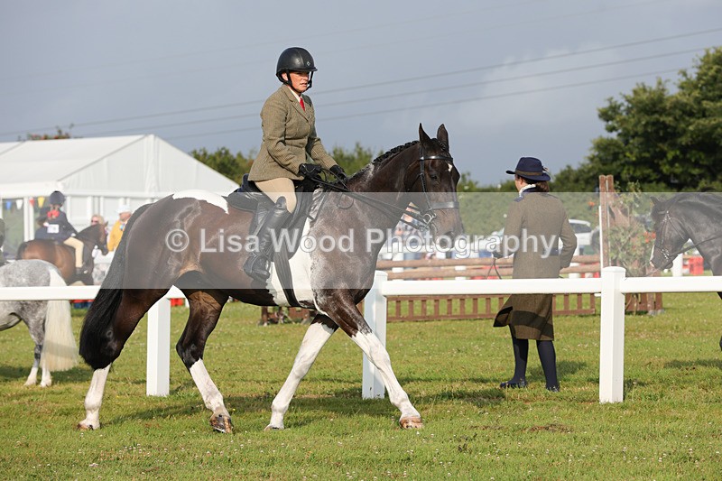 1X9A2833 - Class 25: Ridden Plaited Coloured Horse