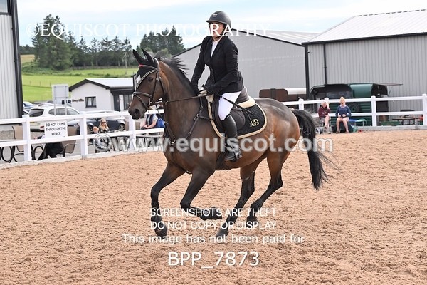 BPP_7873 - CLASS 16 FRI GFS Saddles Senior Newcomers/1.10m Open