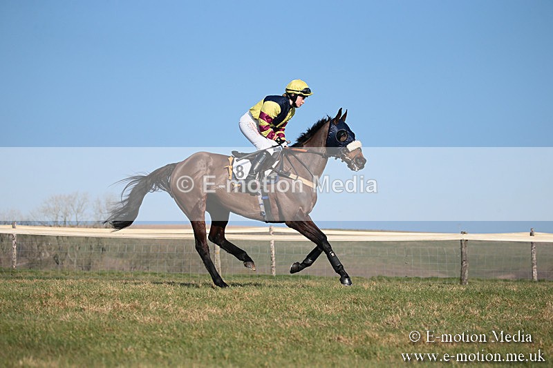 PtP 230219 380 - Vine & Craven Point-To-Point - Barbury 23/02/19