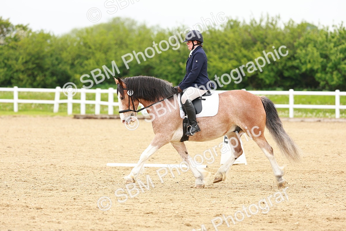 SBM_005955
