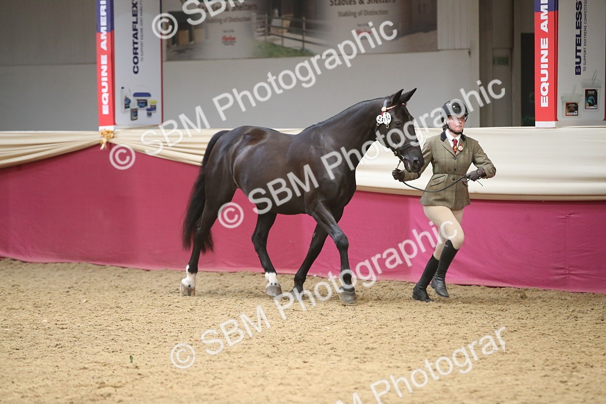 SBM_05294 - Class 8R - Regional IH Veteran