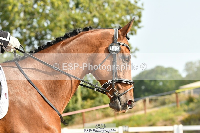 250817-101308-07792 - 153-Gary.ShimminKashmir.MMXXVIII