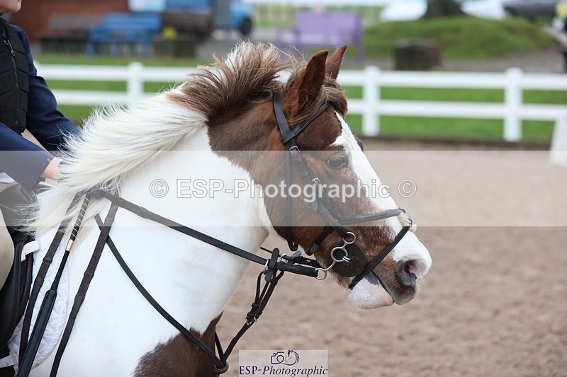 241201X-090813-00029 - Cls 01 10 YO & Under