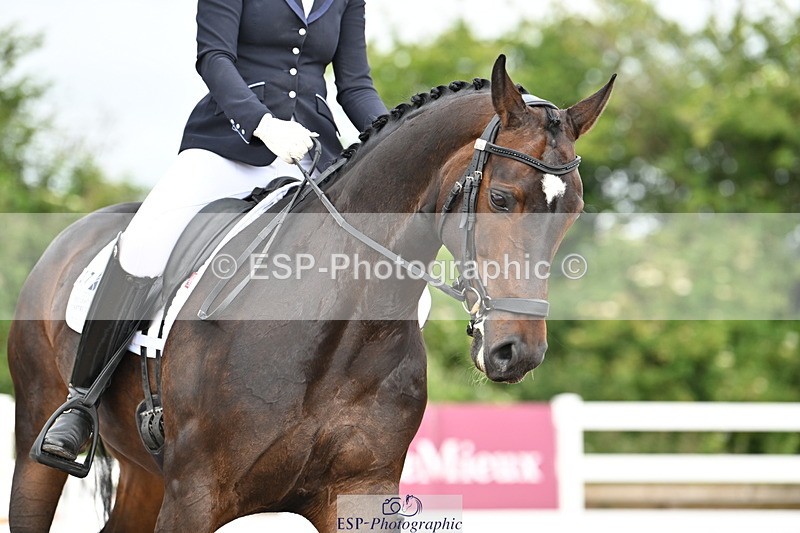 240623A-100052-15890 - Cls 44 BD Prelim 15