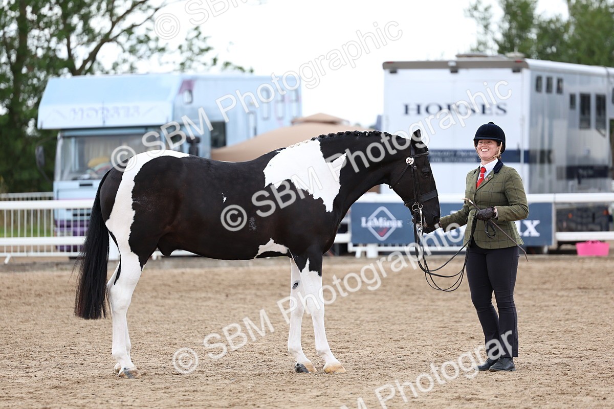 SBM_05013 - Class 27 - IH Competition Horse or Pony