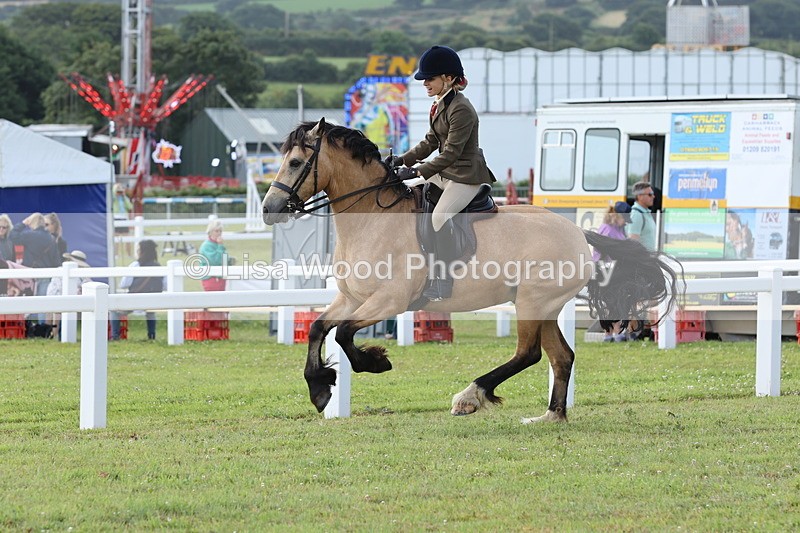 JPP_0819 - Class 16: Cornish Combination Young Rider