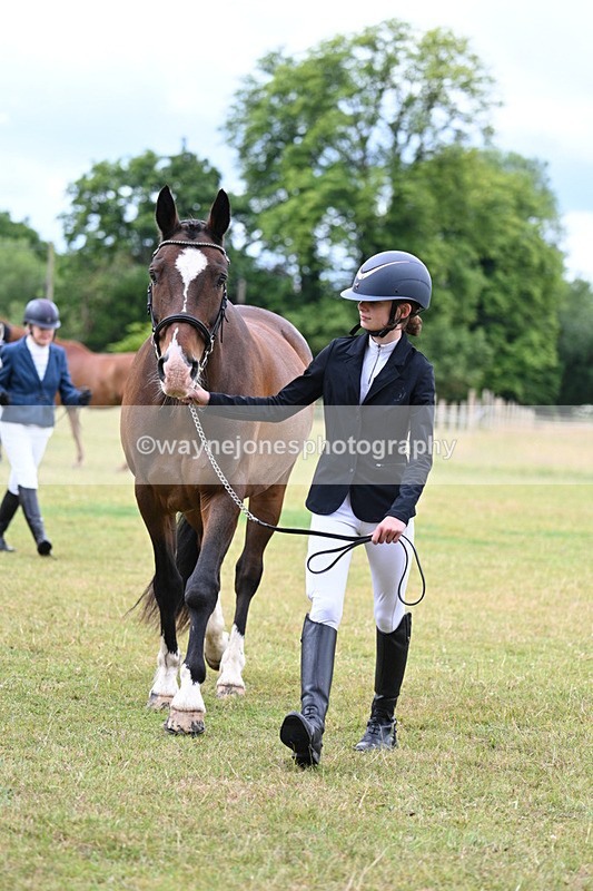 WJ7_6934 - Class 5a Most Handsome Gelding in Hand