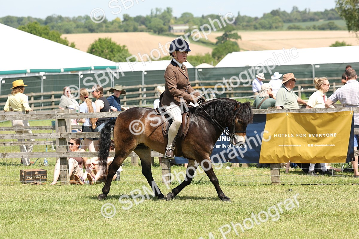 SBM_06799 - Class 26-30 - Mountain and Moorland Ridden