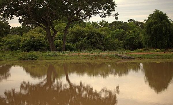  - Sri Lanka wildlife, people & places