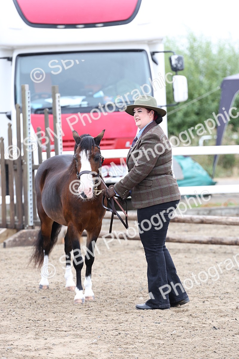 SBM_00068 - Class 50 - Best Turned Out IH