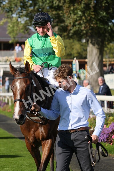 yr08102021r2-35 - Race 2 2.40pm Racing to School EBF Novice Stakes