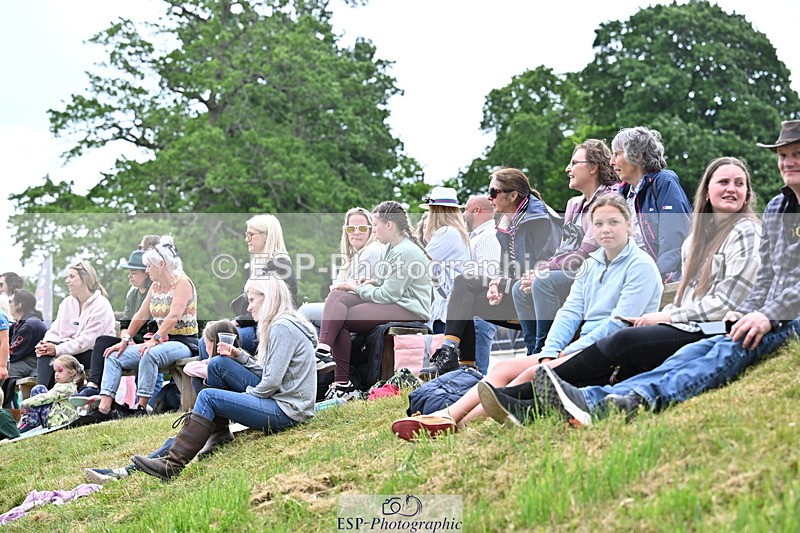 250524A-160938-13216 - Demo Arena Crowds