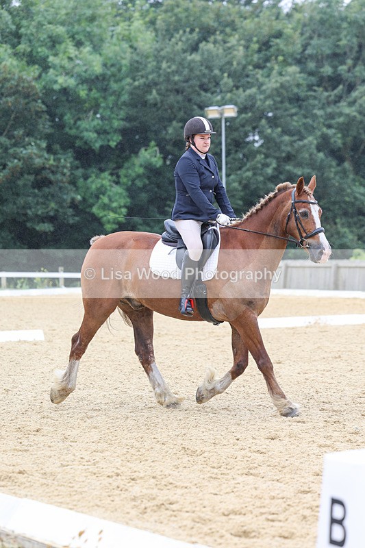 3E7A4756 - Class 1: Intro 4 2024 section A