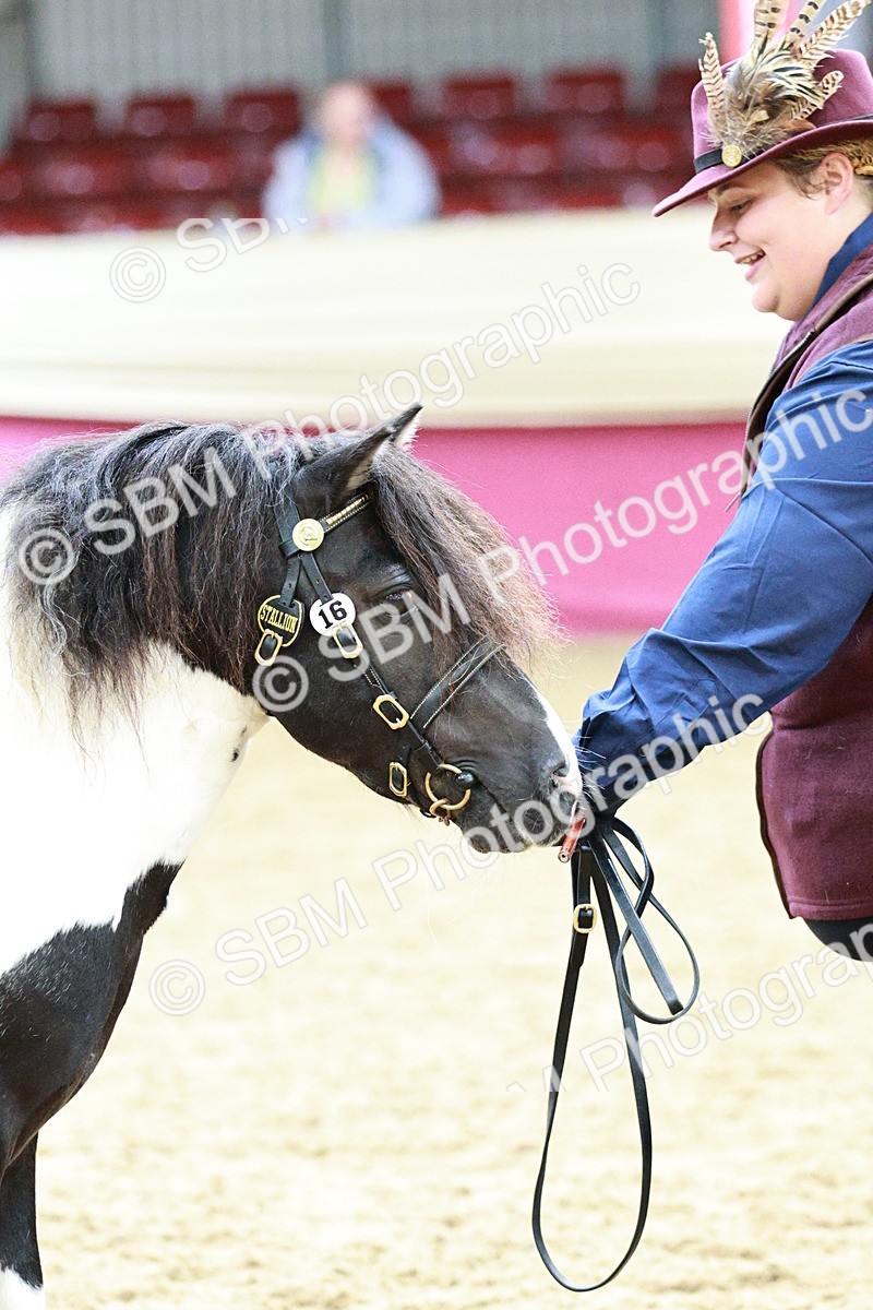 SBM_01276 - Class 3A - Area IH Pre-Vet