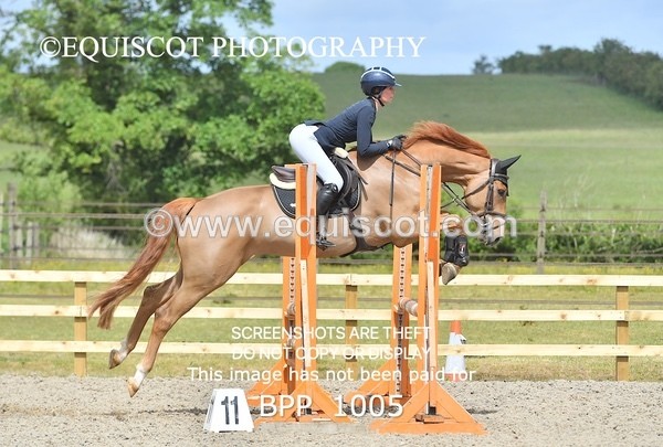 BPP_1005 - Senior British Novice/ 90cm Open