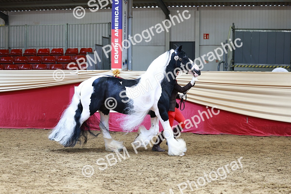 SBM_23169 - Class 903 - Supreme Final - IH Pre Vet